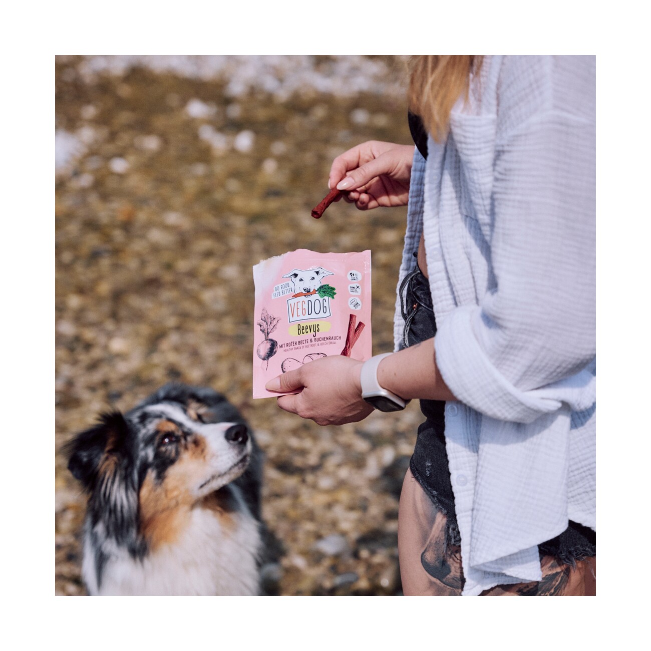 VEGDOG Belohnungssnack BEEVYS 9 x 80 g