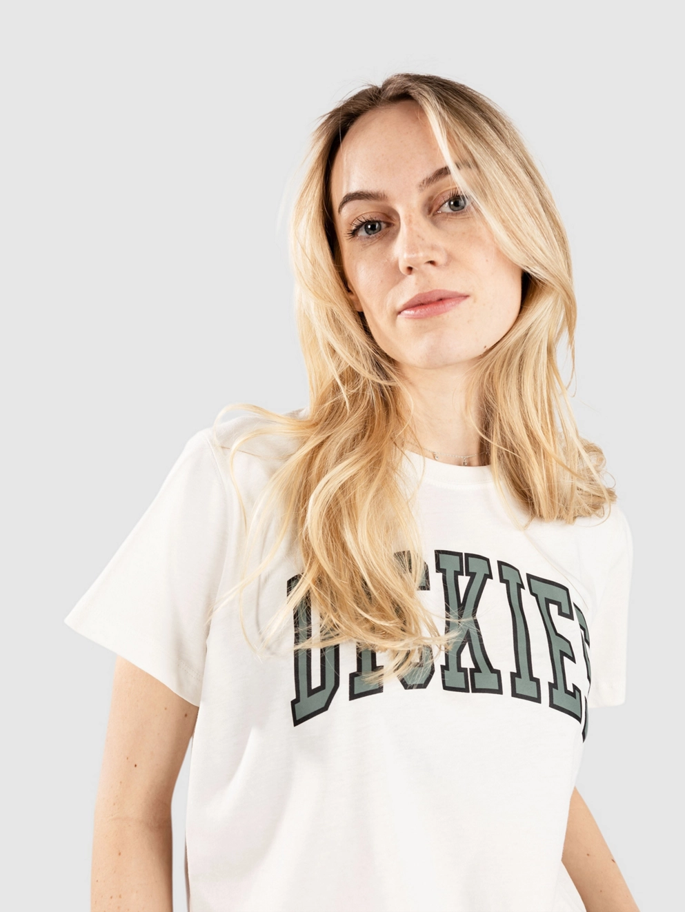 Dickies Aitkin T-Shirt egret