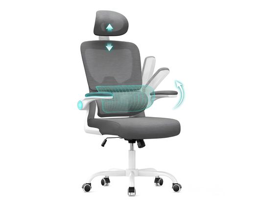RATTANTREE - Chaise de bureau Fauteuil de bureau ergonomique réglable blanc gris
