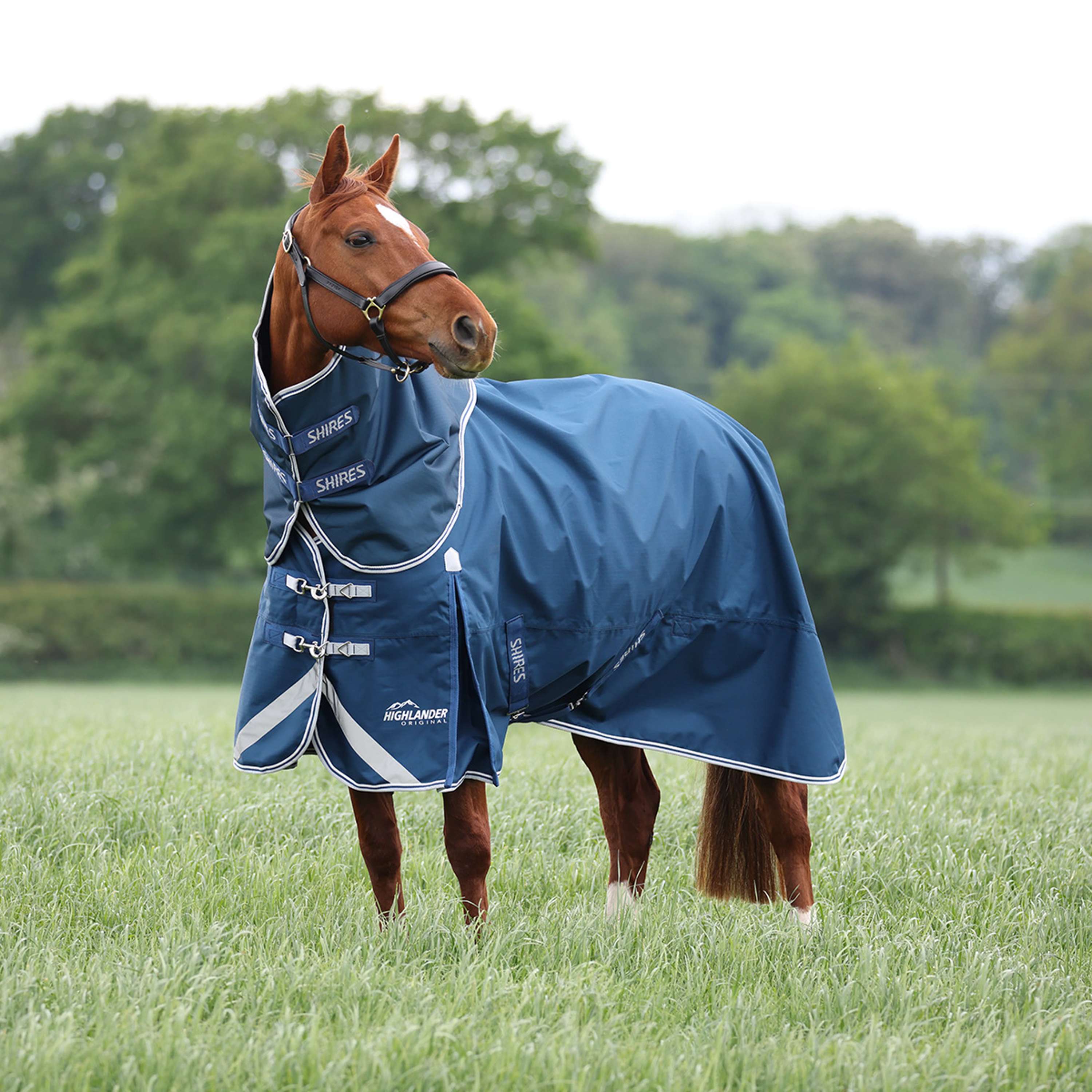 Shires Regendeken Original 50 Turnout met Hals Oceaan