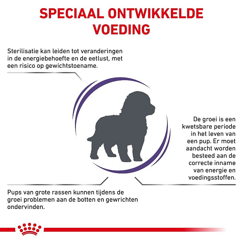 ROYAL CANIN® Large Dog 25-45Kg Neutered Junior - Hondenvoer voor grote gecastreerde honden tot 15 maanden
