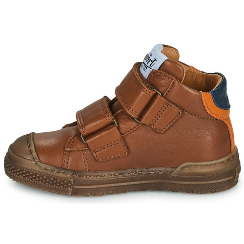 GBB - RIGOLO - Marron