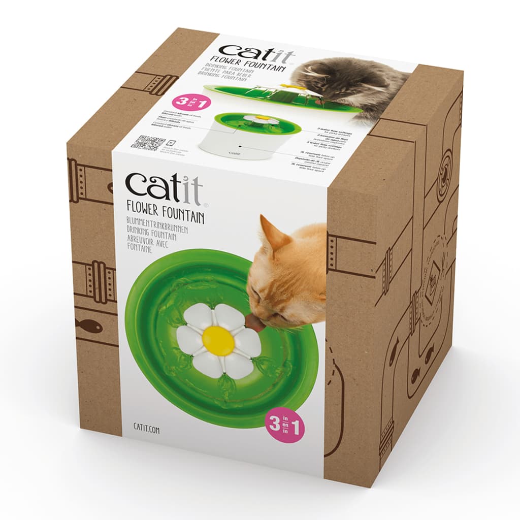 Fonte de Flor de Gato