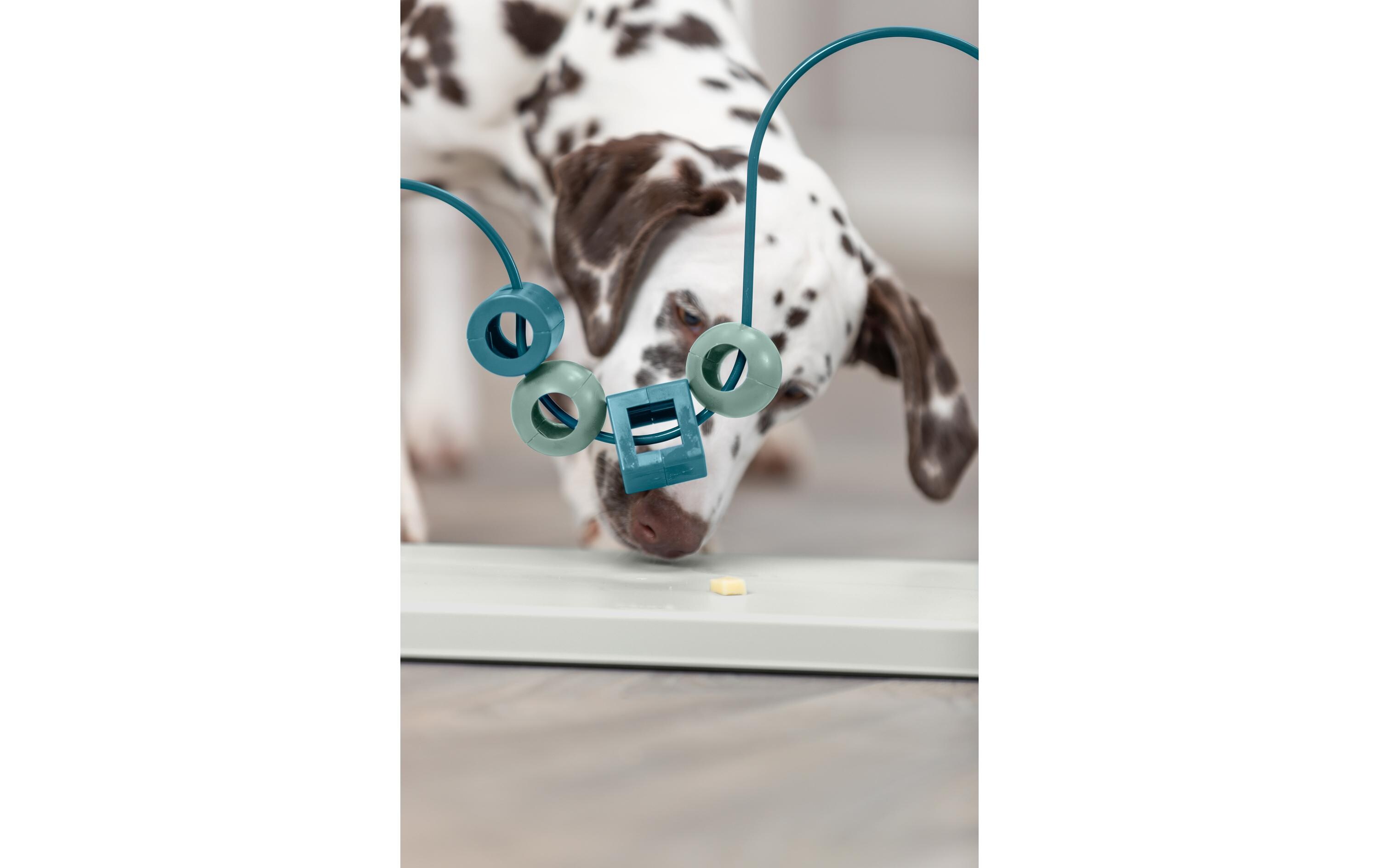 Dog Activity Skills LoopHunde Spielzeug