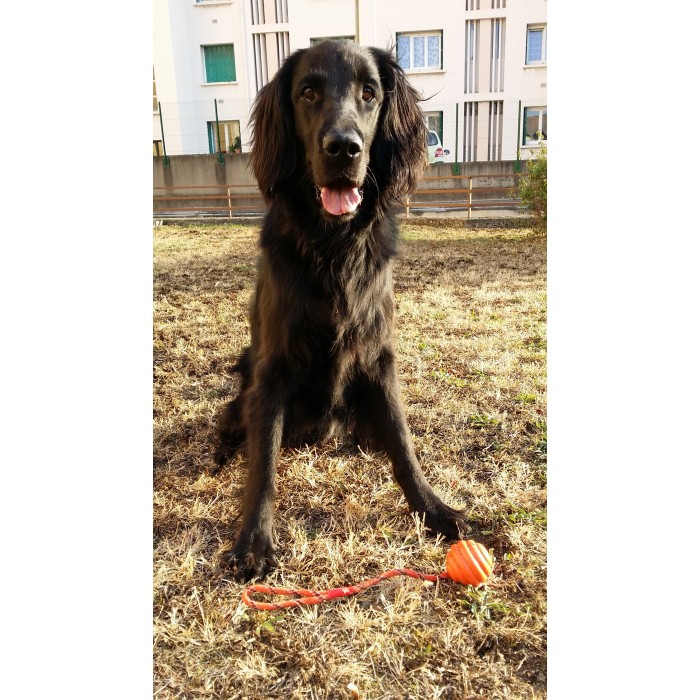 Balle à lancer