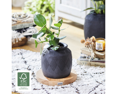 Wagner plantenwagen Ø 25 cm H 5 cm hout voor binnen bruin