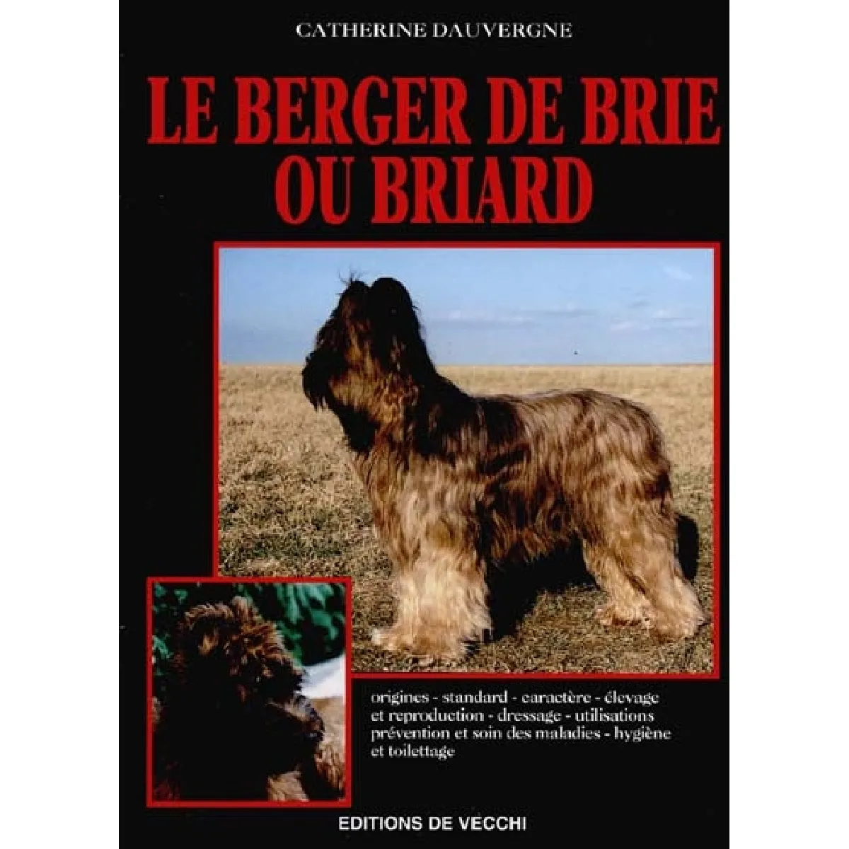 Le berger de Brie ou briard · Occasion