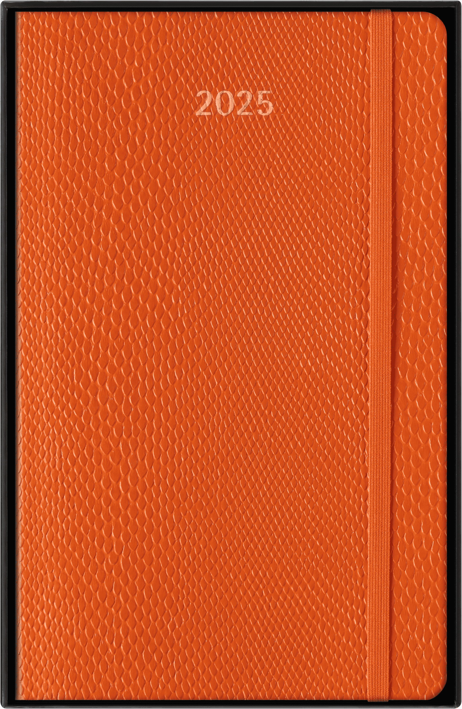 Precious & Ethical Planner 2025 Weekly, 12-Month, Vegan Cover