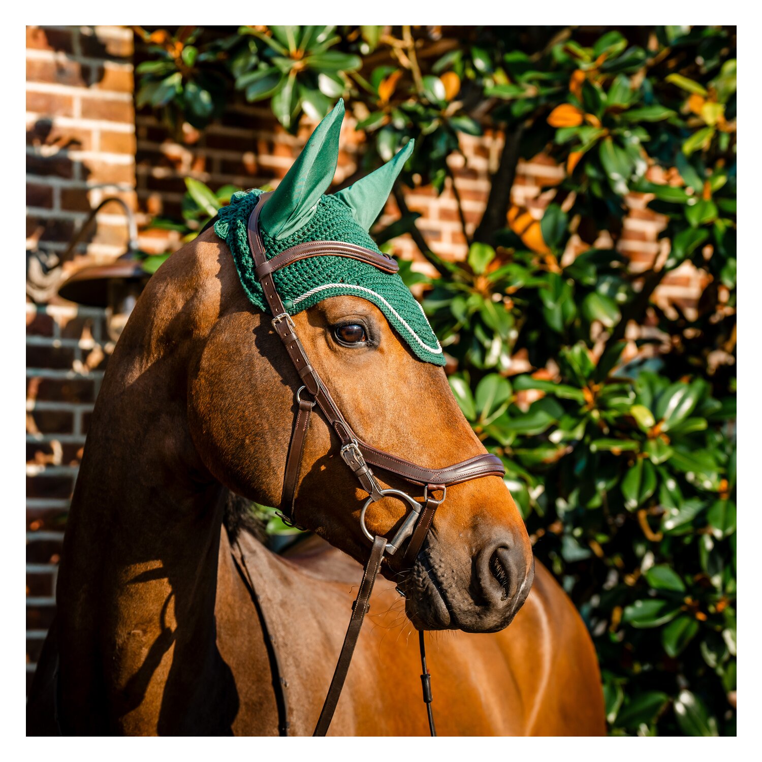 HORSEWARE Signature Fliegenohren  - green - VB/WB