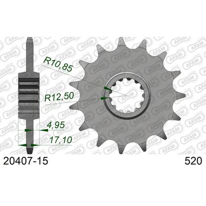 Kit chaine AFAM 520 Type Acier