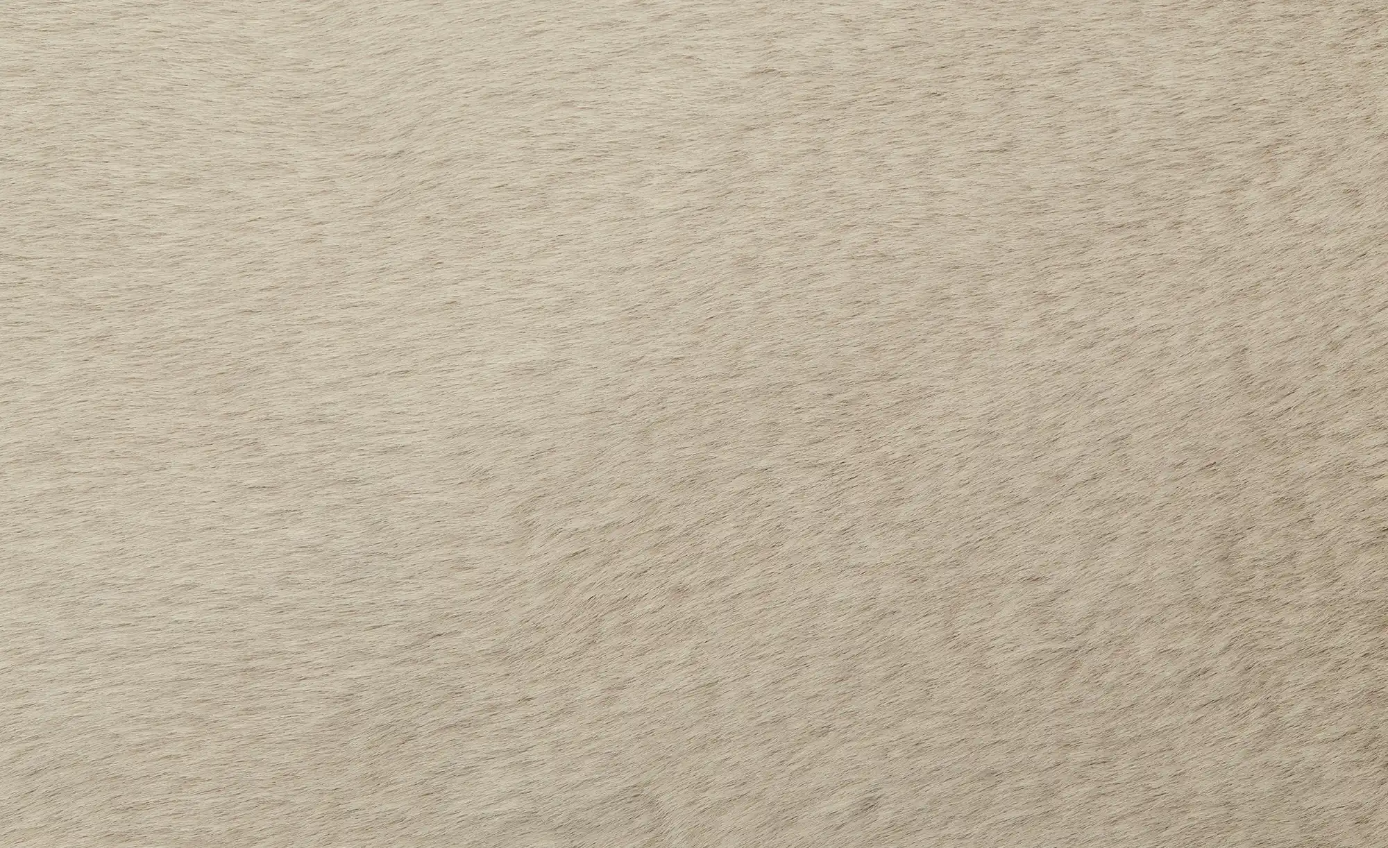 Kinderteppich Kaninchen
