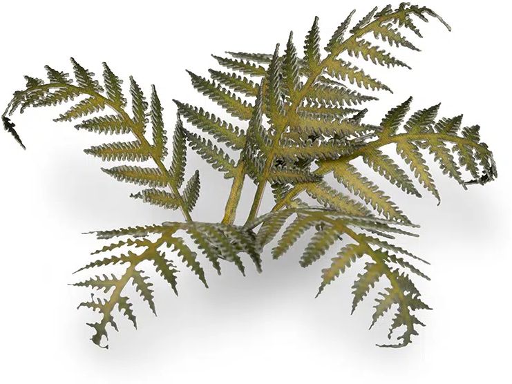 GamersGrass Laser Plants Bracken Künstliche Pflanzen für den Gelände- und Miniaturenbau
