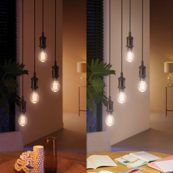 Philips Hue filament standaardlamp A60 - warm tot koelwit licht 7W - E27