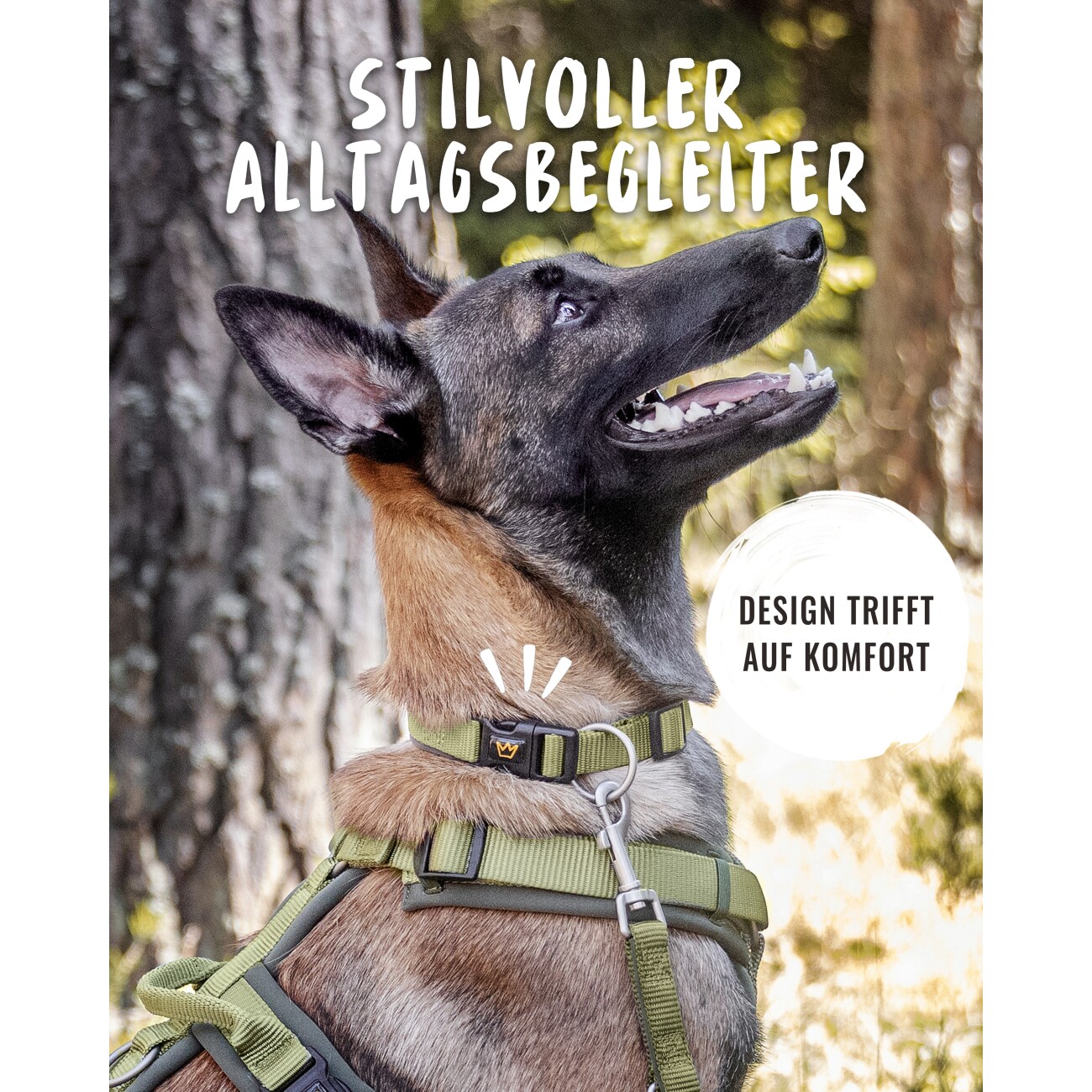 Rudelkönig Hundehalsband - Gepolstertes Halsband Bella grün 25 cm, 30 cm