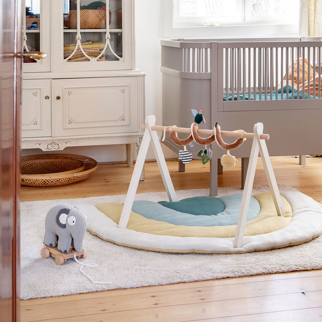 Sebra babygym