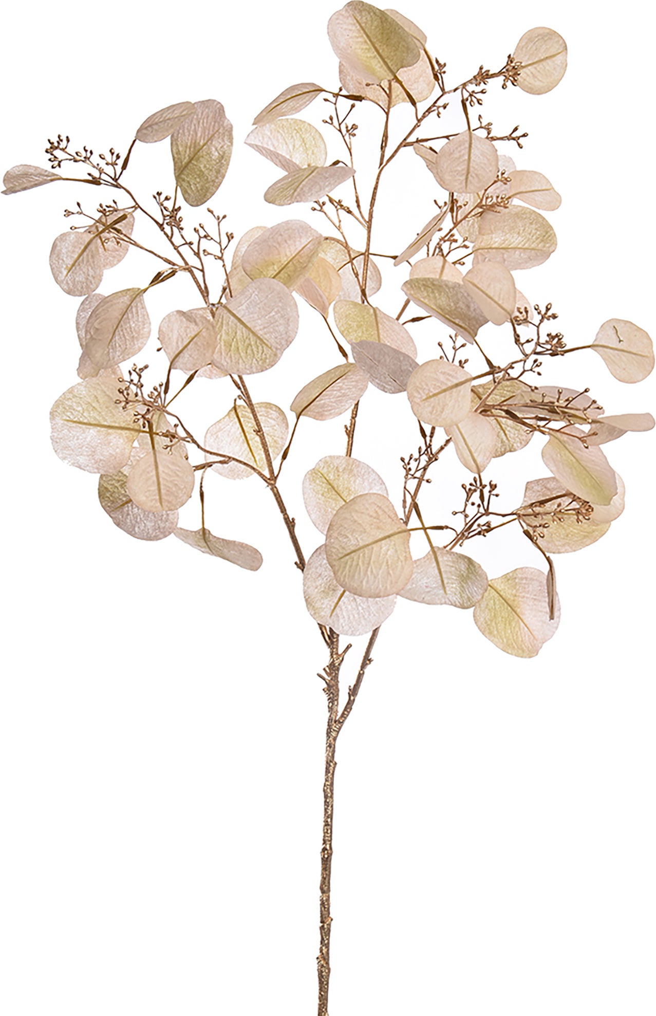 Jasaco PURE kunstbloem Eucalyptus goud crème 90 cm