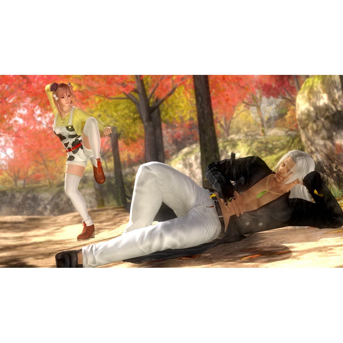 Dead or Alive 5 Last Round - PC Windows
