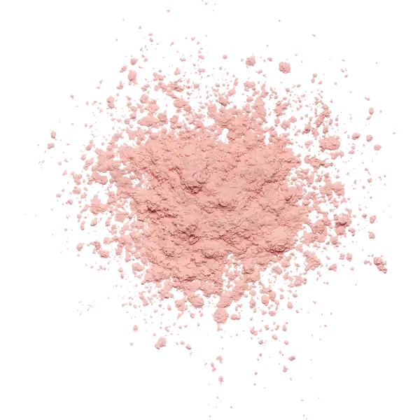 Mean Girls x Revolution Cherry Pink Loose Powder