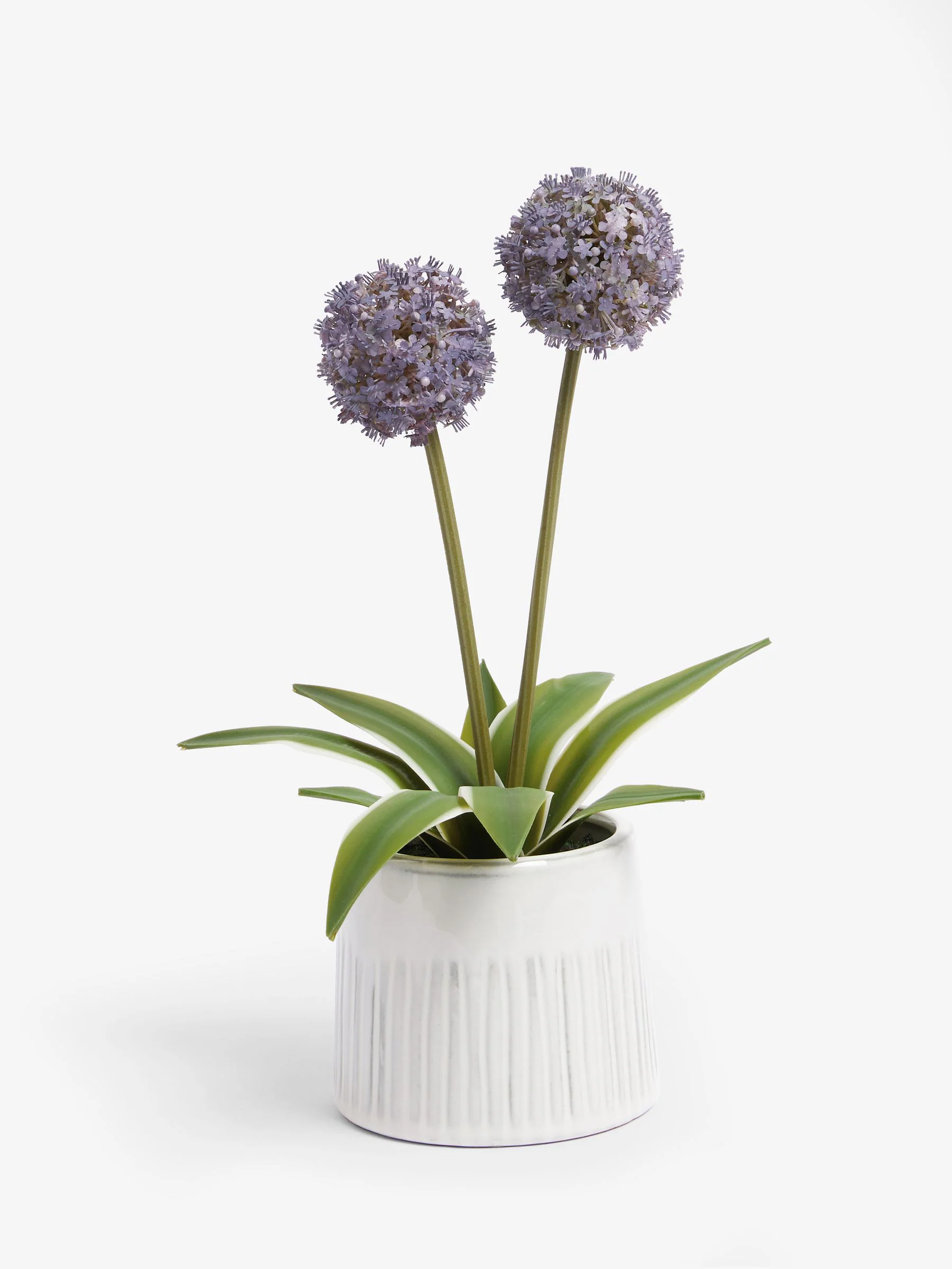 Artificial Allium Plant In Ribbed Ceramic Pot