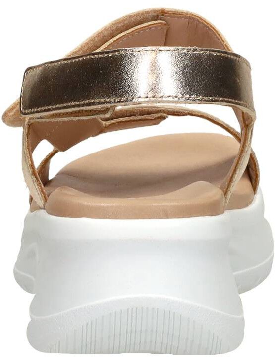 Panama Jack Noor goudkleur