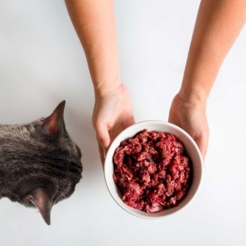 CRU caixa completa com sabores sortidos para gatos