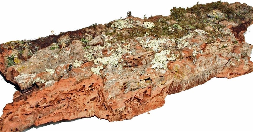 Decoratie boomstam Leo naturel 100 - 120 cm