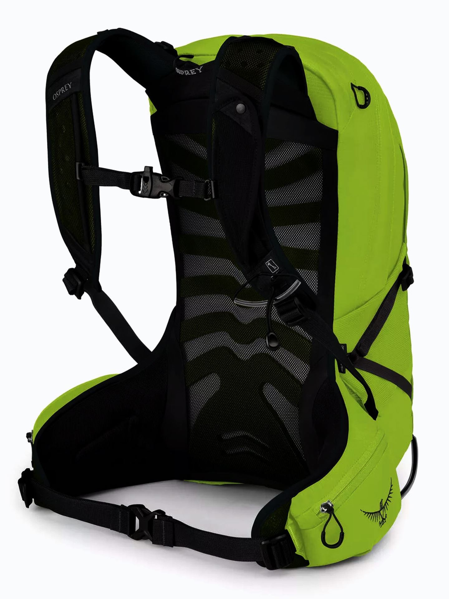 Talon 11L