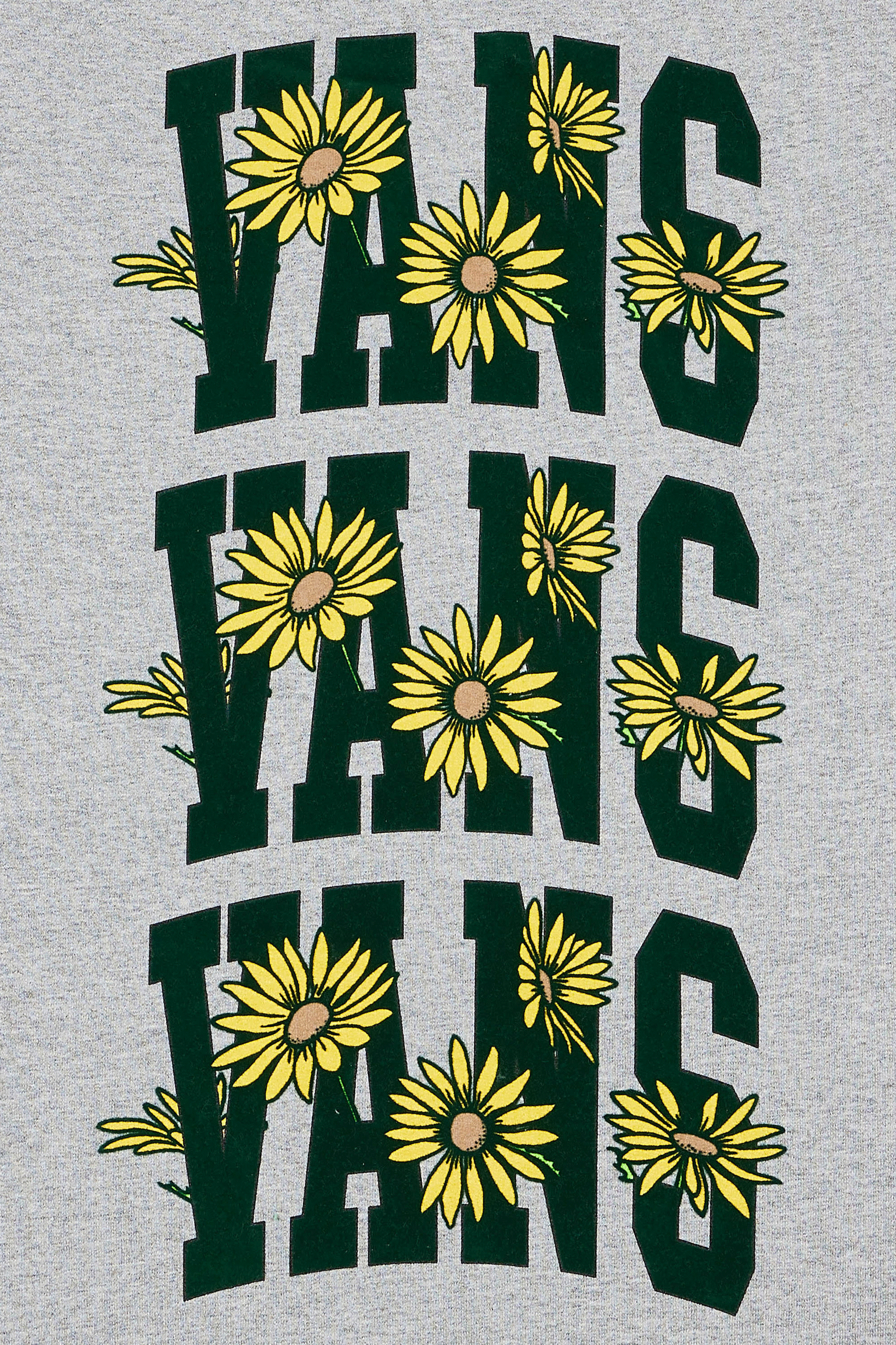 VANS Hoodie VANS FLOWERS PO Gris