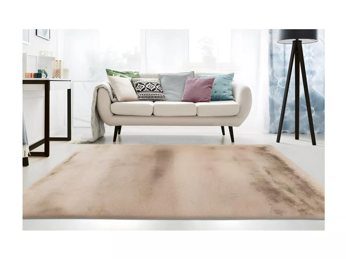 Tapis 290x200cm, design E009Y coloris beige - Confort et élégance pour votre intérieur