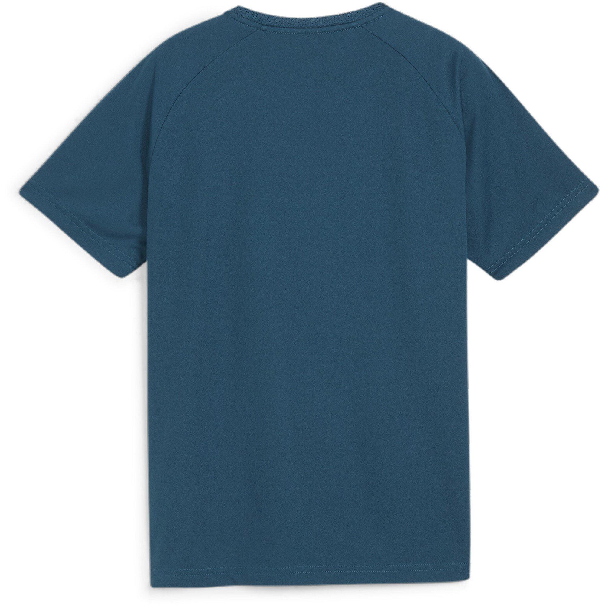 Puma Puma Individualliga Graphic Jersey Jr Drill Top Unisex Kids