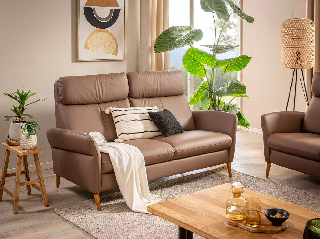 Sofa Springfield