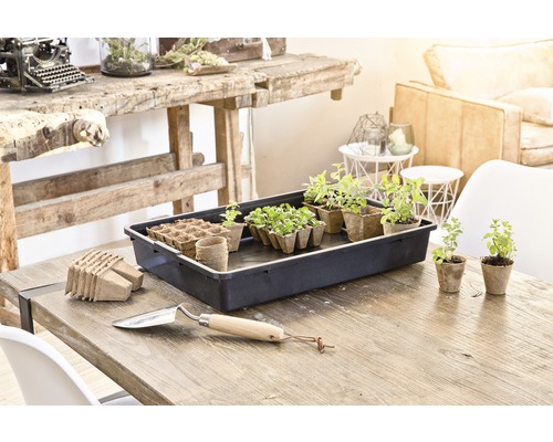 Multifunctionele tray FloraSelf seed tray 57x42x10 cm zonder deksel