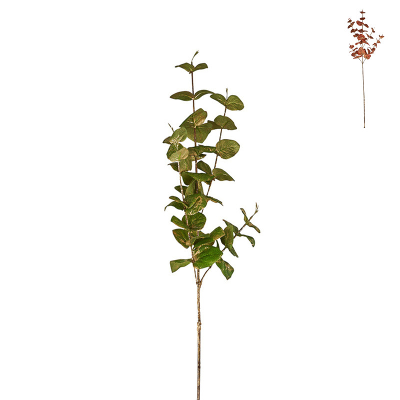Eucalyptus glitter - diverse kleuren - 75 cm