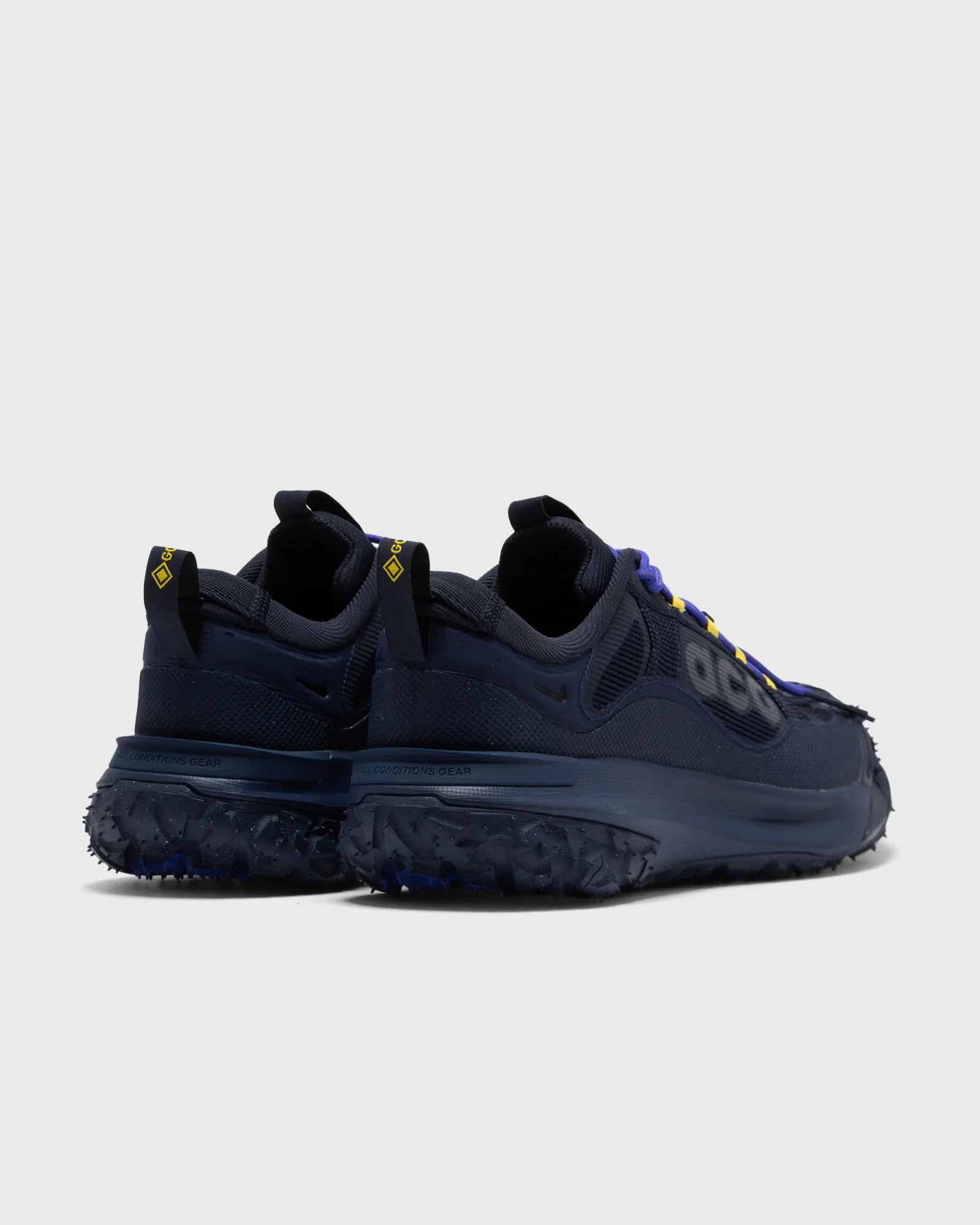 Nike ACG MOUNTAIN FLY 2 LOW GTX