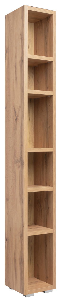 Z2 Regal IMAGE