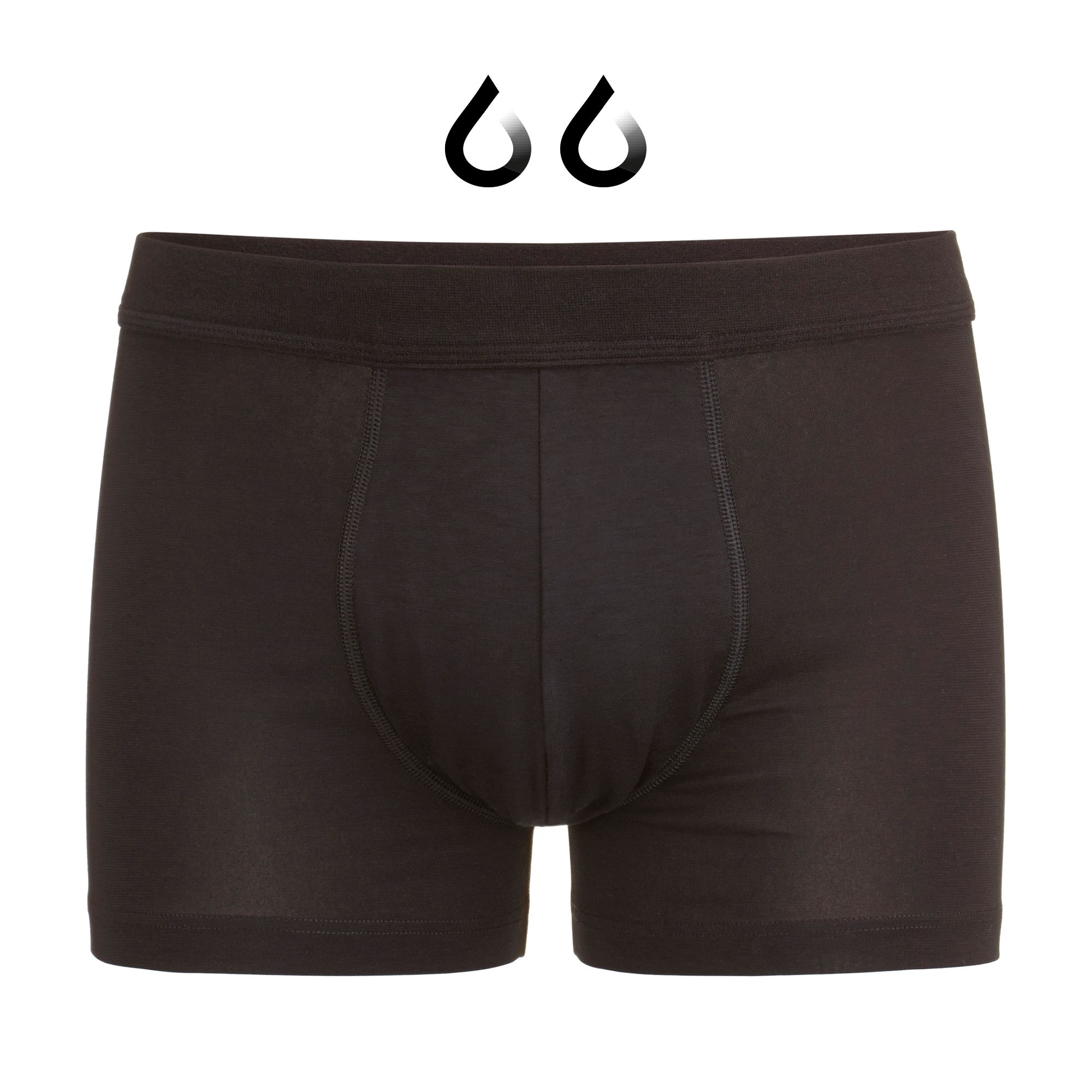 ISA Bodywear Inkontinenzslip »Inkontinenz Panty Stufe 2«