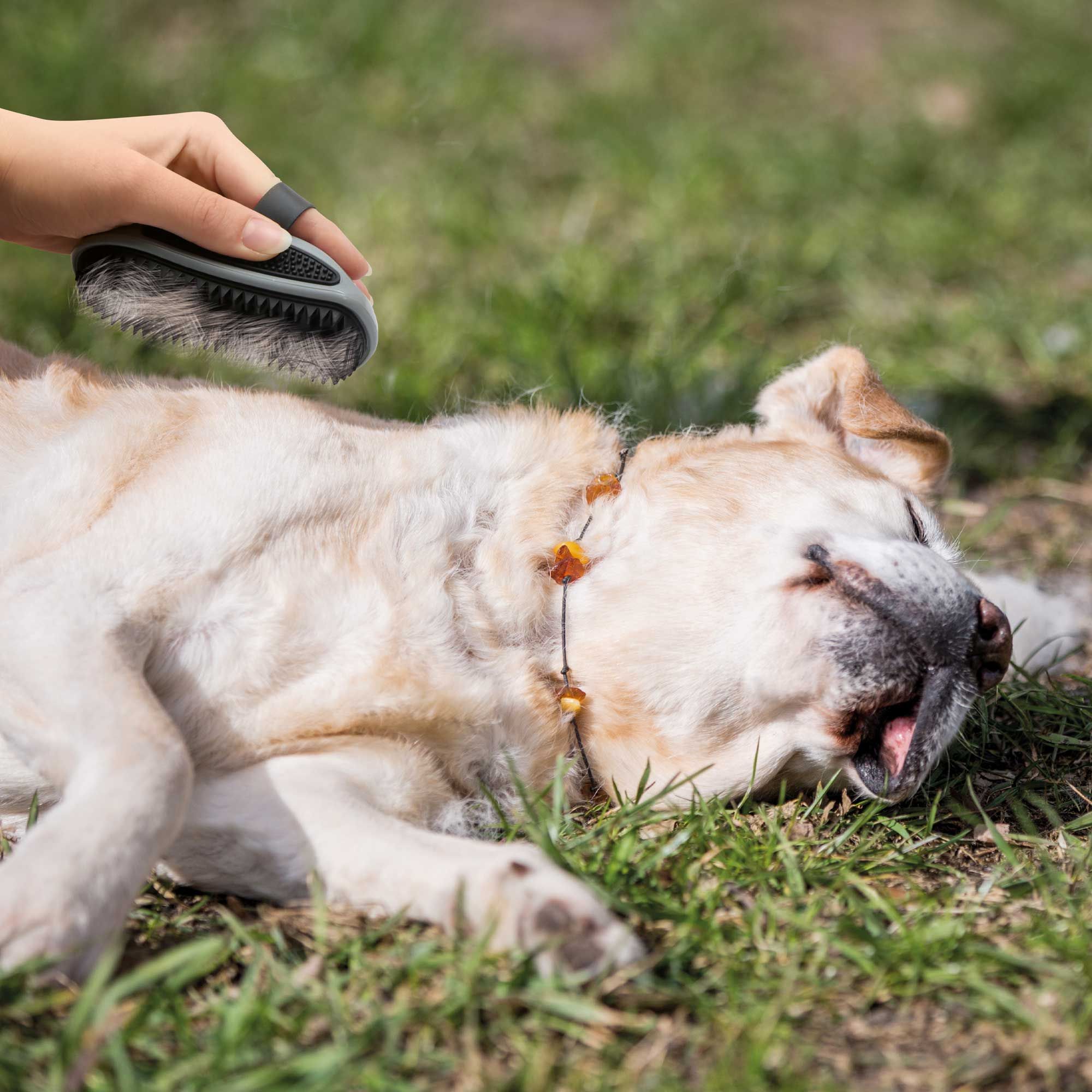 Furminator® Striegel zum Entwirren und Entknoten des Fells