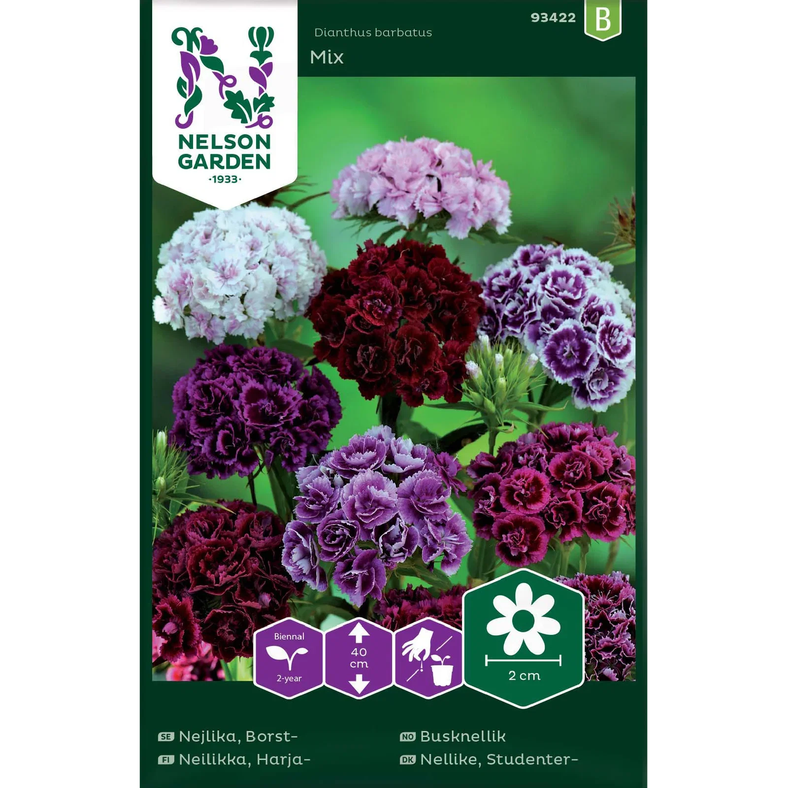 Dianthus barbatus Busknellik Mix