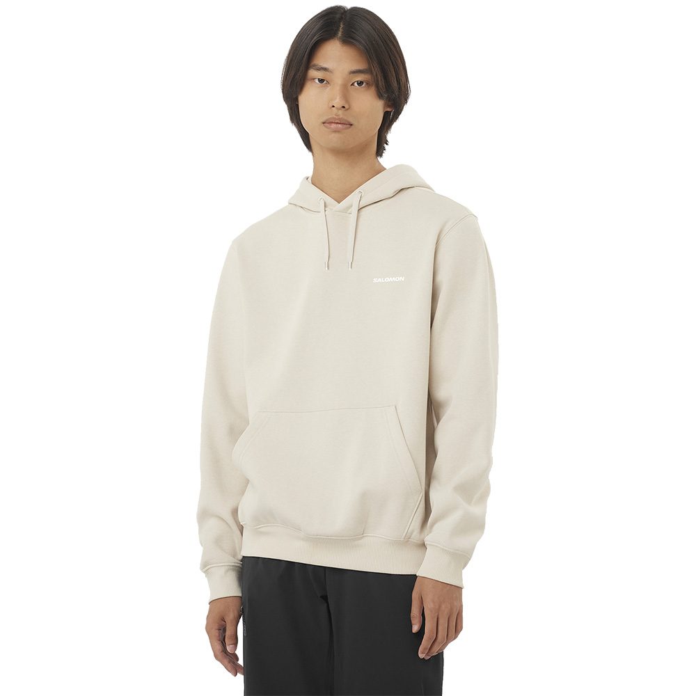 Salomon Logo Hoodie Herren rainy day