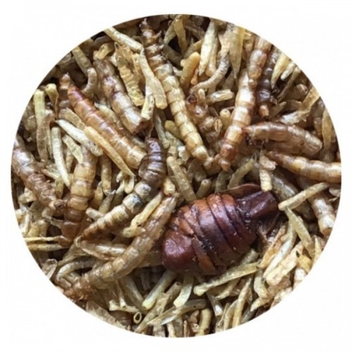 Mistura de insetos desidratados Natures Grub para petauros-do-açúcar, sabor neutro.