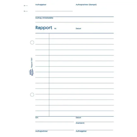 Avery Zweckform 1307 Rapport, A5, mit Blaupapier, 100 Blatt