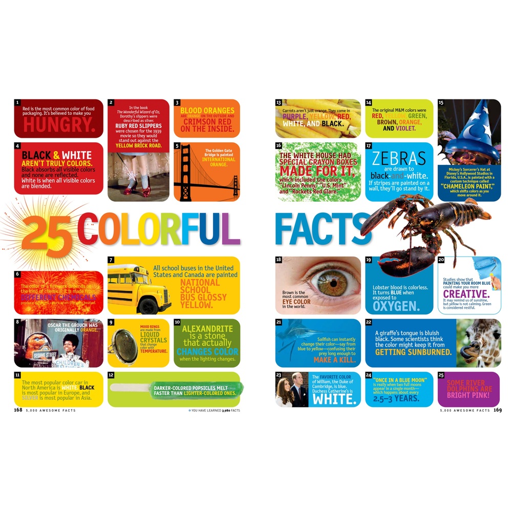 National Geographic Kids: 5.000 fantastische Fakten (über alles!) Gebundenes Buch