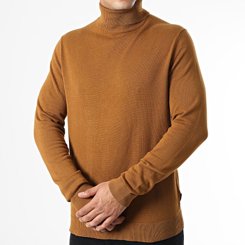 Pull Col Roulé Alex Camel
