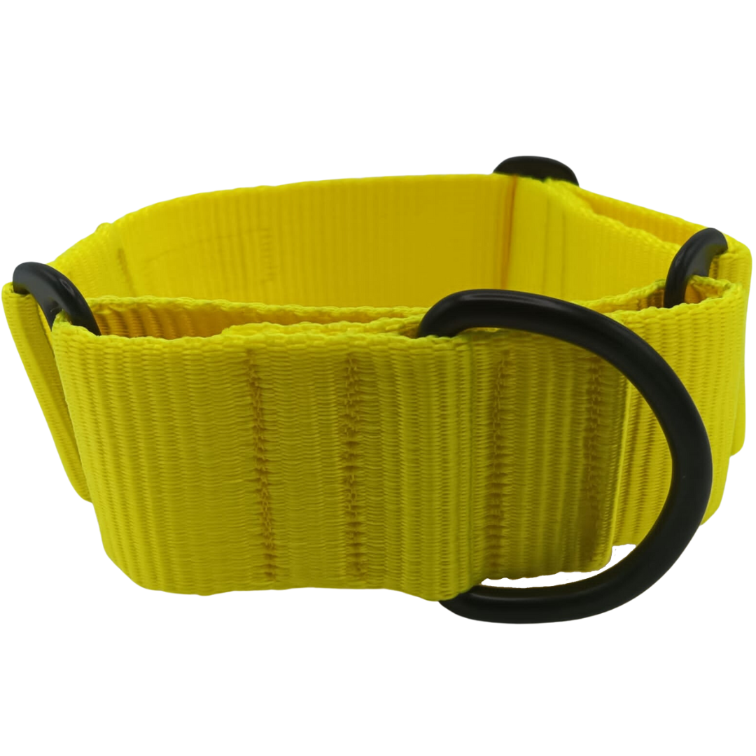 EGV - Coleira Martingale. Coleira artesanal para galgo, fabricada na Espanha (amarela).