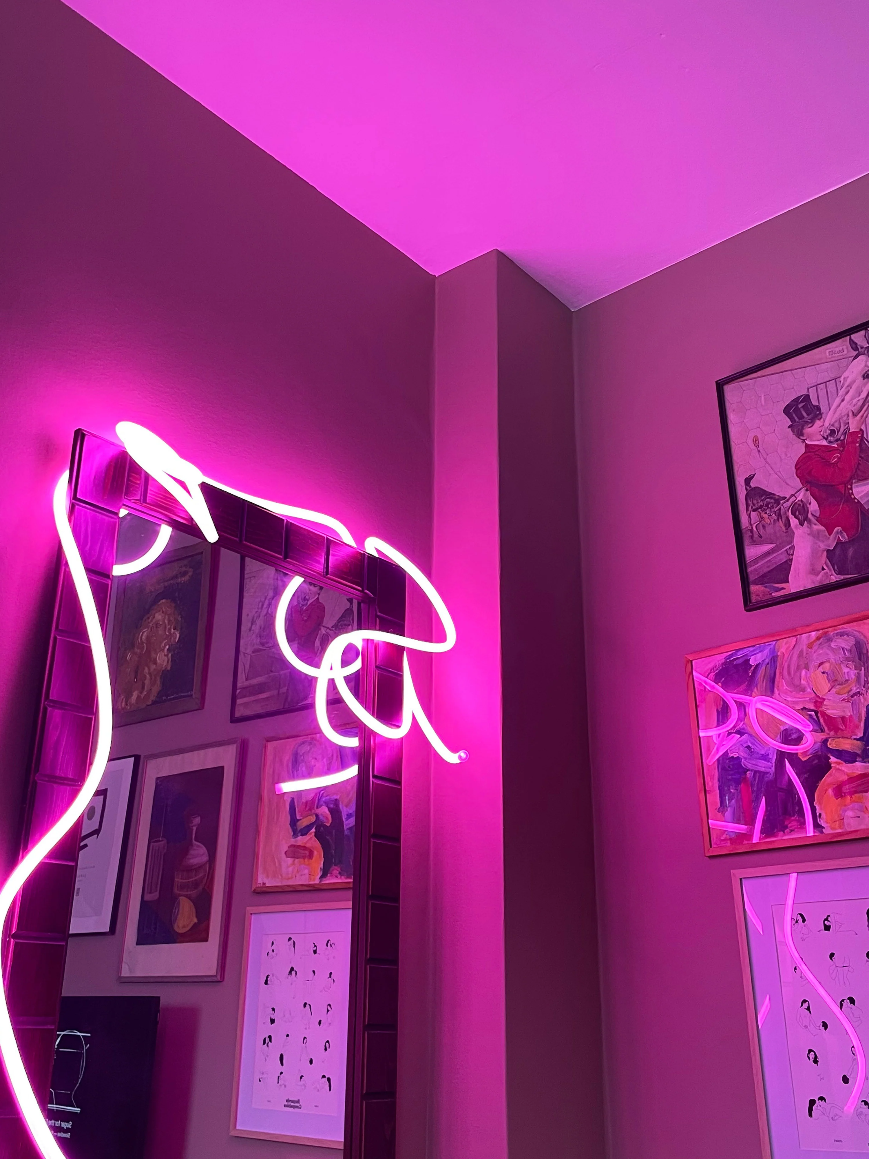 Dimbare LED-lichtslinger Flex Tube