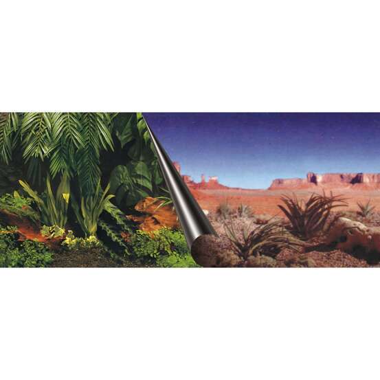 Poster fond d'aquarium Jungle & Dessert 120x50cm