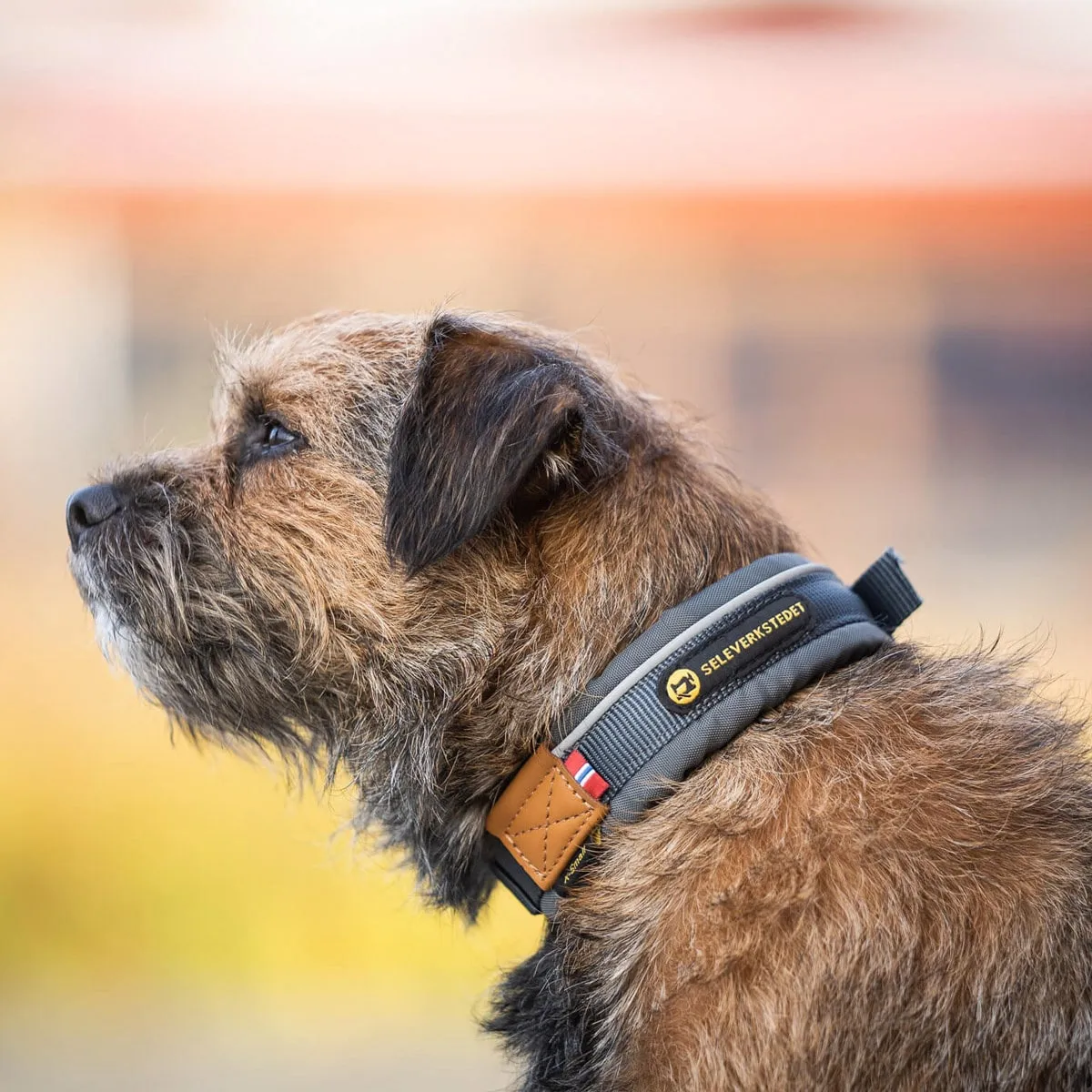 Seleverkstedet Seleverkstedet Unify dog collar Grå/brun