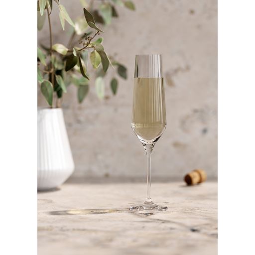 Eva Trio Legio Nova 6-pak Champagneglas, Klar, 26 cl