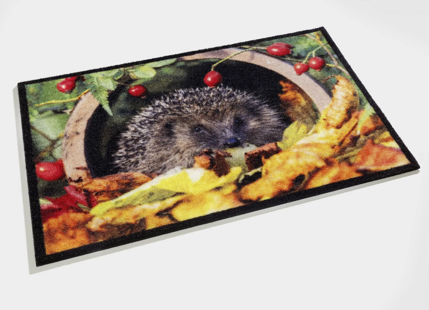 Fußmatte mit Igel-Motiv