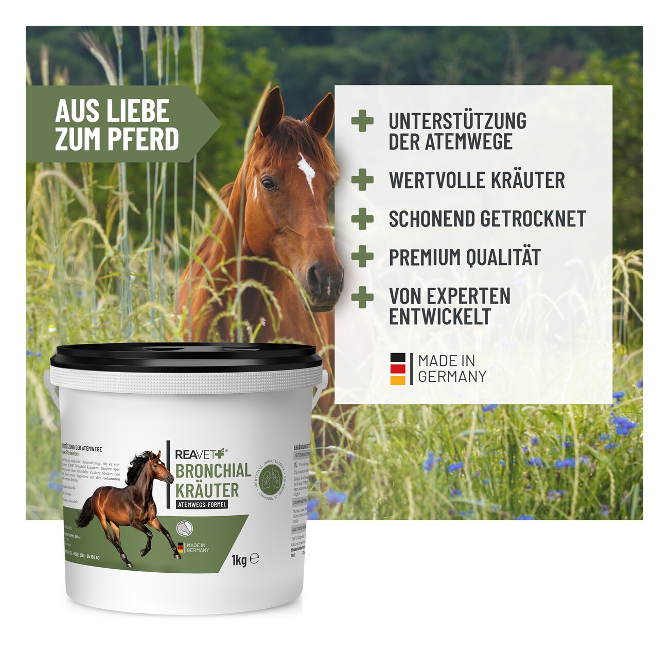 REAVET Bronchialkräuter für Pferde 1kg
